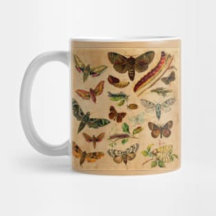 Butterfly Mug